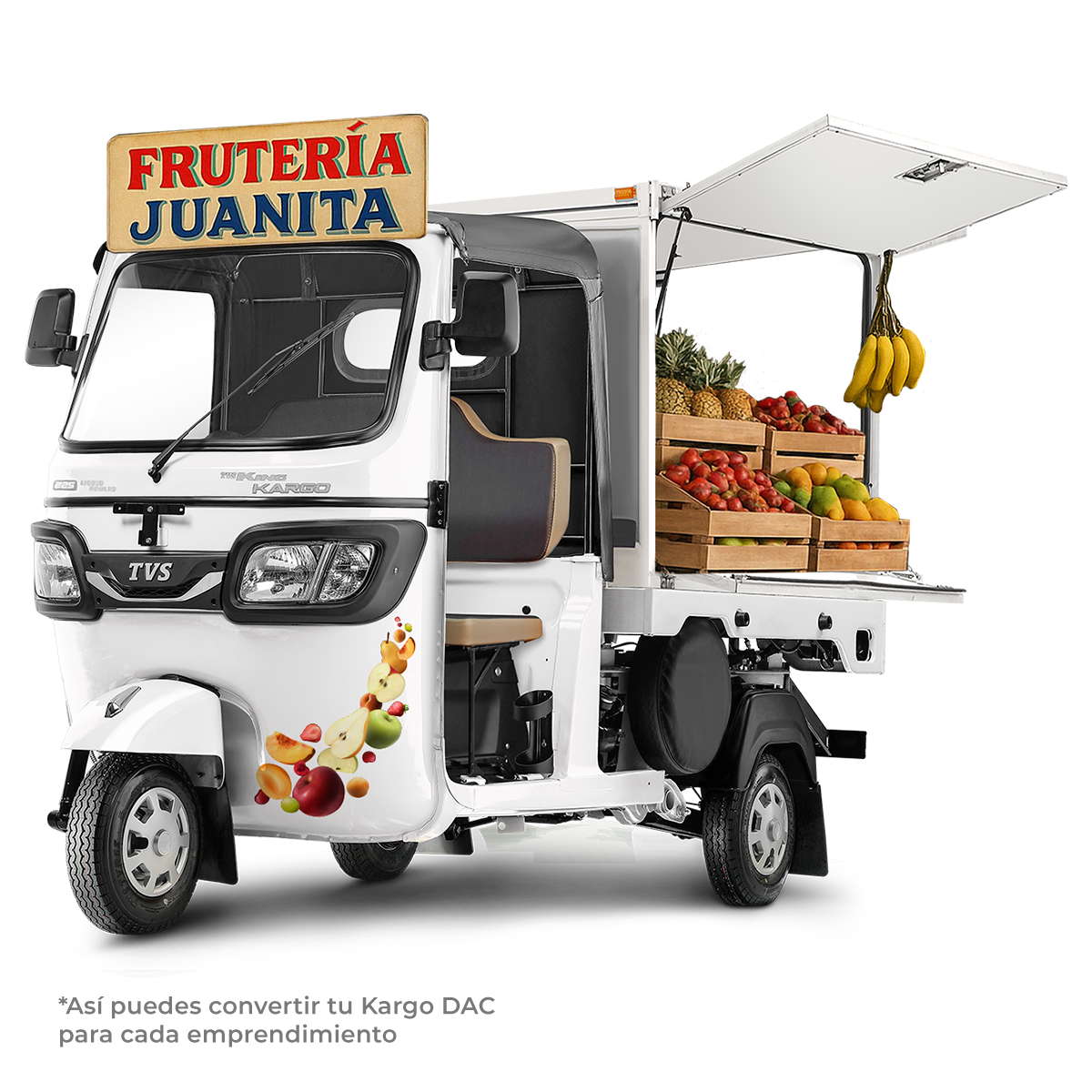 MTC-KING-KARGO-FRUTERIA-2